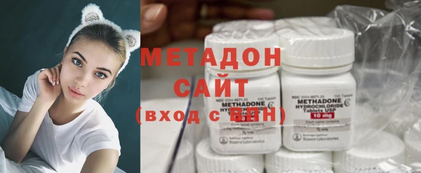 ПСИЛОЦИБИНОВЫЕ ГРИБЫ Арсеньев