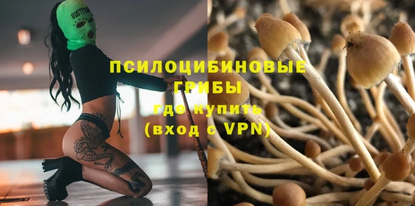 apvp Аркадак