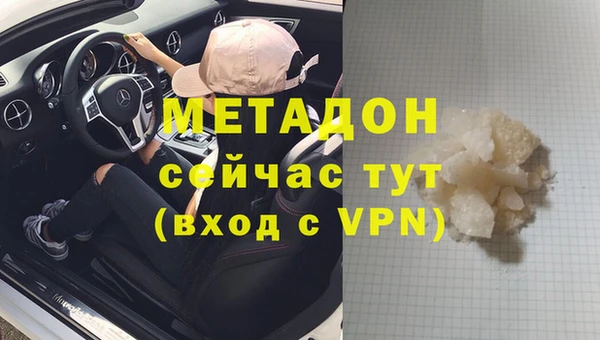 ПСИЛОЦИБИНОВЫЕ ГРИБЫ Арсеньев